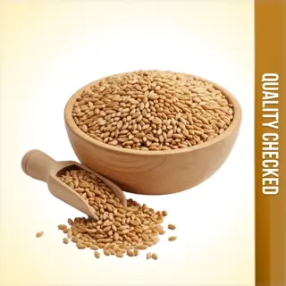 Whole Wheat Lokwan Loose - 1Kg