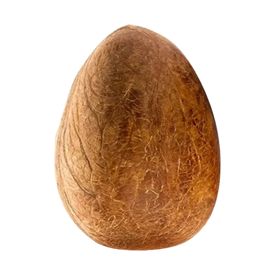 Gadi Dry Coconut 1N